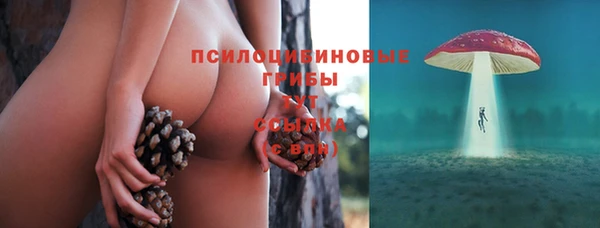 ALPHA PVP Алзамай