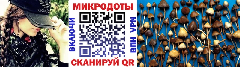 Галлюциногенные грибы прущие грибы  Сосновый Бор 
