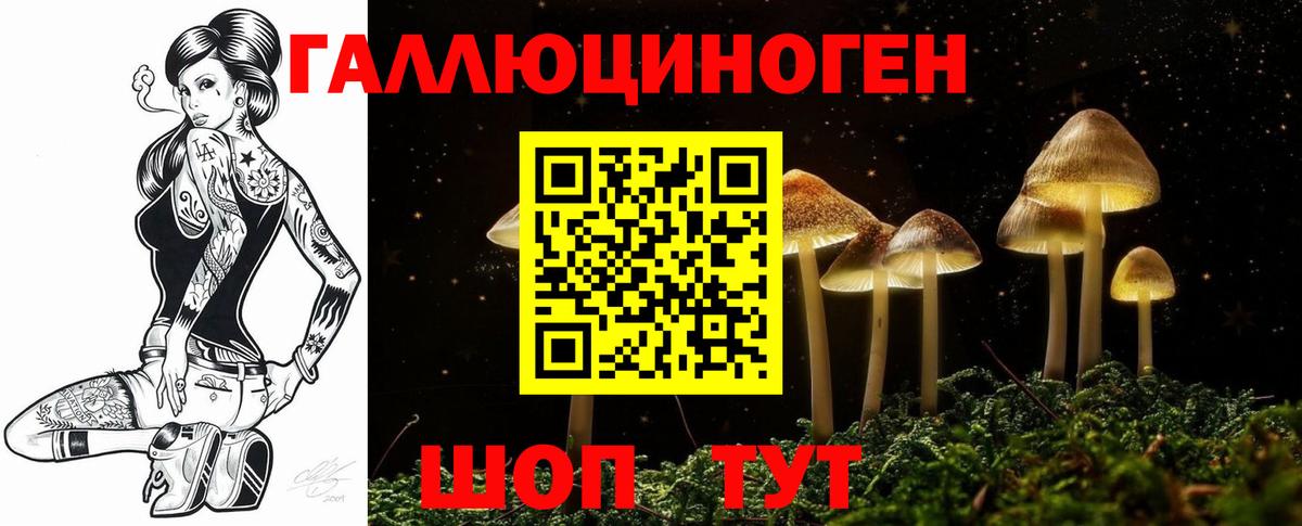 Псилоцибиновые грибы мицелий Сосновый Бор
