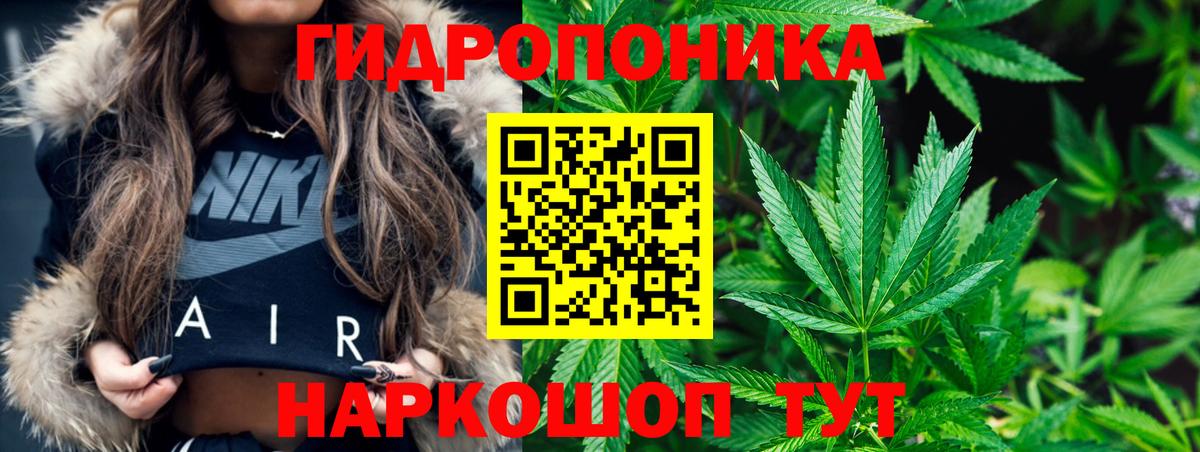 Каннабис LSD WEED  Вход с VPN  МАРИХУАНА White Widow  Сосновый Бор  Шишки марихуана сатива 